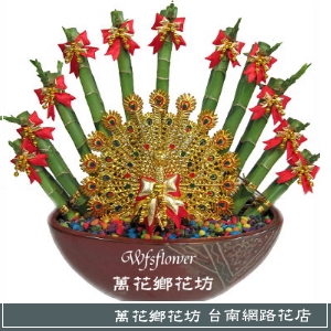 孔雀開屏 開運竹