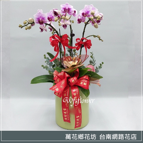 蘭花盆景 喜慶盆栽 台南市花店