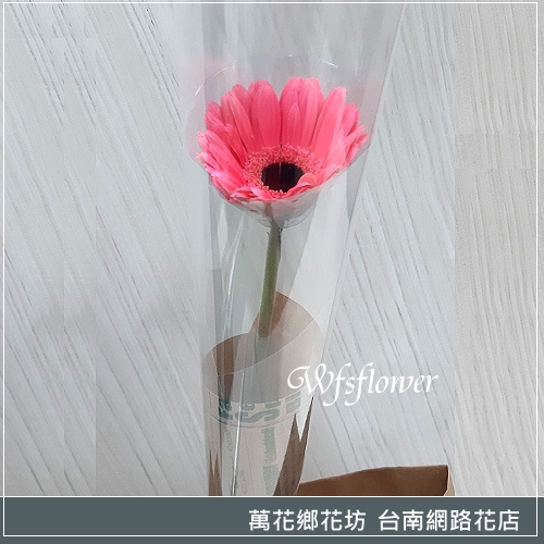 單朵太陽花