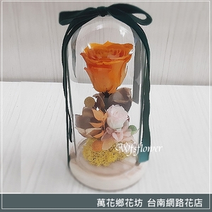 進口 彩色永生玫瑰